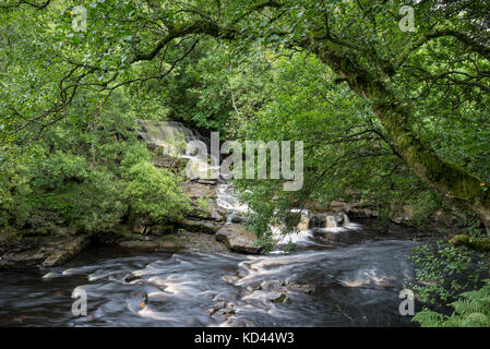 Gill tritt in der Nähe von keld in oberen swaledale Essen, North Yorkshire, England. Stockfoto