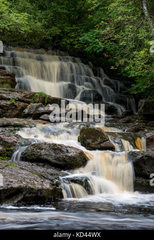 Gill tritt in der Nähe von keld in oberen swaledale Essen, North Yorkshire, England. Stockfoto