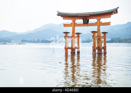 Die schwimmende torii Tor Detail mit Ente in Miyajima, Japan. Stockfoto