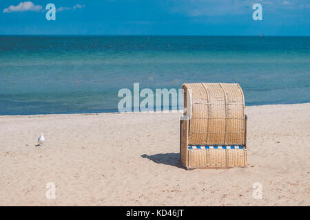 Eine überdachte Stuhl auf leeren Sandstrand in Travemünde. Eine einsame Möwe neben. Deutschland Stockfoto