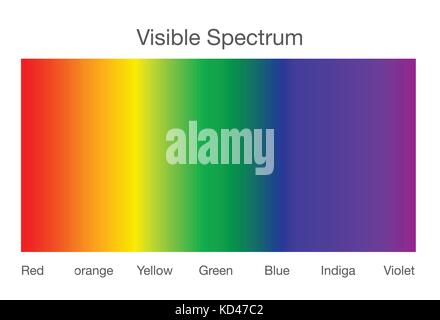 Sichtbares Spektrum des Lichts. Stock Vektor