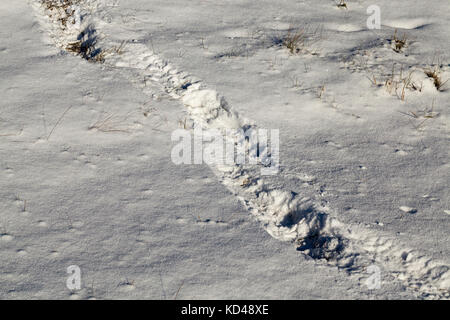 Schneeverwehungen im Winter Stockfoto