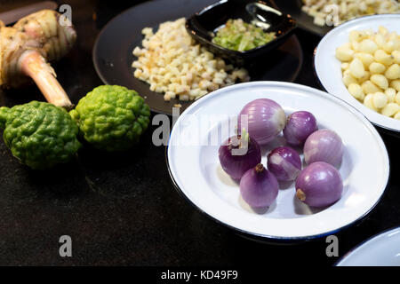 Zwiebel Knoblauch in weißen Schale mit jungen grünen plumule und Bergamotte Ingwer Galgant viele Kraut auf Marmor tisch Stockfoto