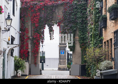 Ein mews Torbogen in West London mit Blättern Rötung im Herbst. mews bestehen typischerweise aus Gehäuse aus den ehemaligen Pferdestall umgewandelt Stockfoto