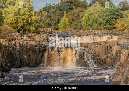 Teesdale Landschaft, die Farben des Herbstes und dramatische Beleuchtung bei niedrigen Kraft Wasserfall auf dem Fluss-T-Stücke, Teesdale, Großbritannien, Oktober 2017 Stockfoto