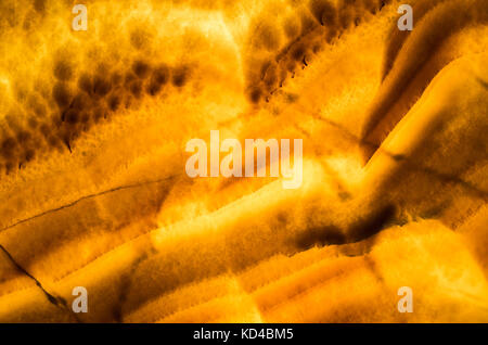 Honey Onyx, dekorative stone wall Panel, Nahaufnahme, Hintergrund Foto Stockfoto