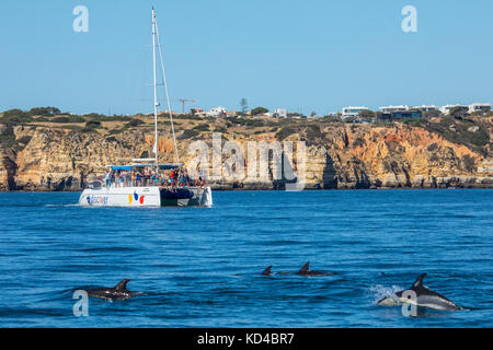 Portugal - 12. September 2017: Eine Dolphin Watching Boot vor der Küste von Lagos an der Algarve, Portugal, am 12. September 2017. Stockfoto