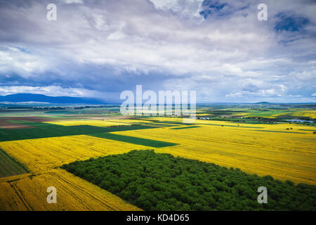 Luftaufnahme über den landwirtschaftlichen Feldern. Stockfoto