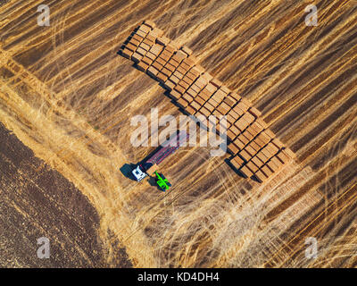 Luftaufnahme der Ernte Feld und Heuballen. Die landwirtschaftliche Maschinen, Traktoren und Lastwagen. Stockfoto