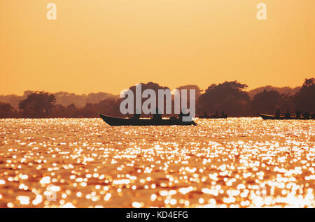 Wunderschöne Landschaft bei Sonnenuntergang von Booten mit Fischer auf Pantanal Gewässern. Die Yacht Silhouette durch Wasser und Natur umgeben. Foto bei Golden Stockfoto