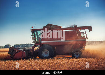 Mähdrescher Landwirtschaft Maschine erntet goldenen Reif Weizenfeld Stockfoto