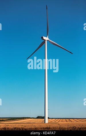 Windenergieanlage in einem gelben Feld Stockfoto
