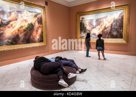 Washington DC, District of Columbia, American Art Museum, Malerei, Landschaft, Schwarze Afrikanische Afrikaner ethnische Minderheit, Erwachsene Erwachsene Frau Frauen femal Stockfoto