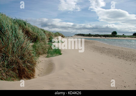 Dünen bei alnmouth, northumberland Stockfoto