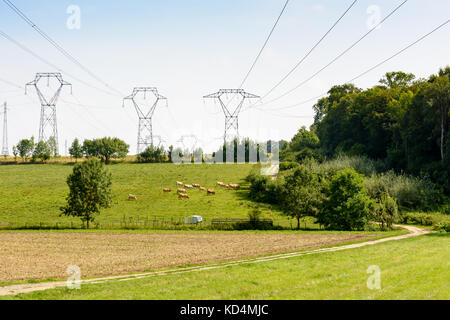 Sendemasten mit Hochspannungsleitungen, die über eine Wiese, wo Rinder weiden. Stockfoto