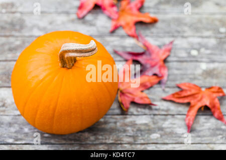 Kürbis mit Curly Stammzellen auf einem rustikalen Tisch mit bunten Blätter im Herbst. Overhead von oben nach unten anzeigen. Selektiver Fokus auf dem Kürbis mit weichem Hintergrund. Stockfoto