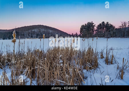 Verschneite rote Haus See bei Allegany State Park, Cattaraugus County, New York Stockfoto