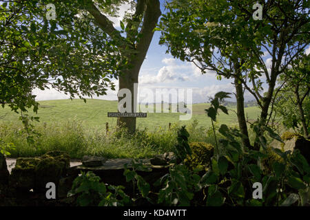 Ein Sommer auf dem Land Szene an Greenberfield Lane, in der Nähe von Barnoldswick, Lancashire, England, Großbritannien Stockfoto