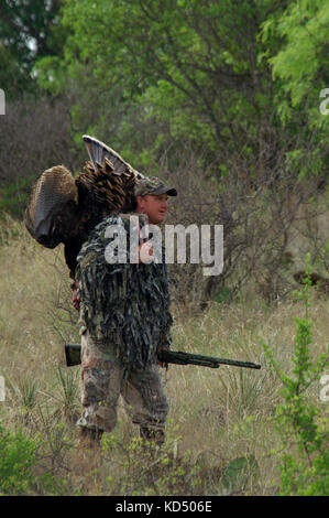 Feder der Türkei Jäger mit ihren Rio Grande gobblers während der Jagd in der Nähe von Coleman Texas Stockfoto