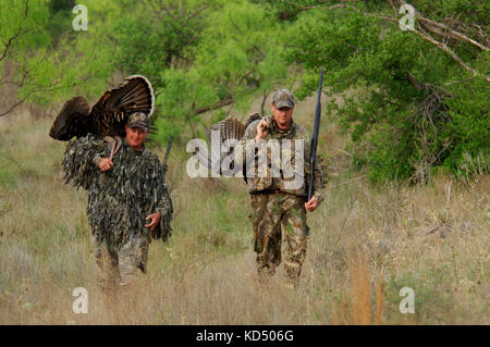 Feder der Türkei Jäger mit ihren Rio Grande gobblers während der Jagd in der Nähe von Coleman Texas Stockfoto