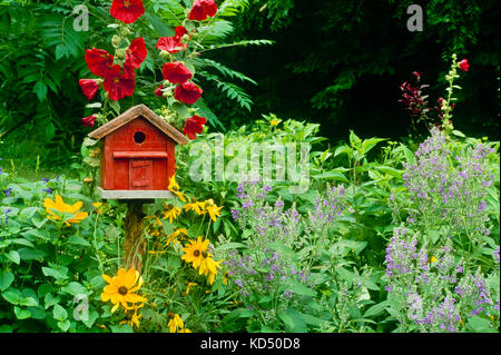 Red Barn Vogelhaus mit Stockrosen und Black Eyed Susans (rudibecka) fügt Design feature zu Land Garde, Stockfoto