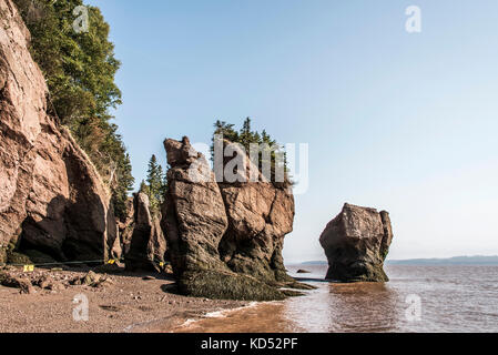 Die berühmten Hopewell Felsen geologigal Formationen bei Ebbe größte Flutwelle Fundy Bay New Brunswick Kanada Stockfoto