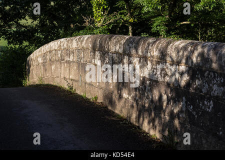 Sonnenlicht fällt auf pack Brücke über den Fluss Teign, Schönheit in der Natur, Buche Baum, Busch, Farbbild, Laubbaum, Wald, Horizontal, Lichteffekt, Stockfoto