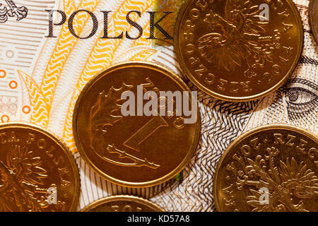 Polnische Banknoten, close-up Stockfoto