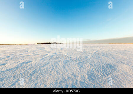 Foto von Schnee, close-up Stockfoto