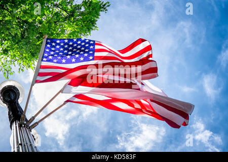 Amerikanische Fahnen winkend aus einem lichtmast in Washington DC. Ansicht von unten nach oben. Breezy Tag mit wispy Wolken und blauer Himmel. Straße Dekorationen Stockfoto