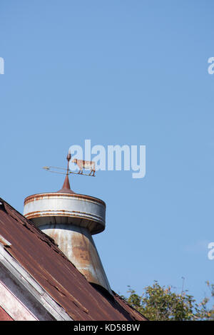 Ein vintage Wetterfahne mit einer Kuh und Pfeil aus Metall auf einem rustikalen verwitterten Red Barn Dach schließen. Bild kopieren. Stockfoto