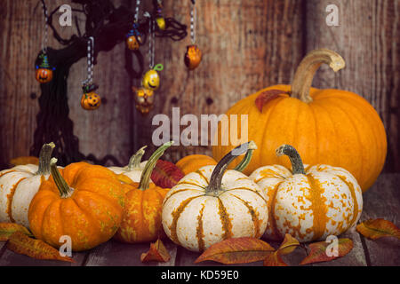 Kürbis Display mit Herbstblättern. Hintergrund mit rustikalen Holzmöbeln dekoriert Halloween tree. Stockfoto