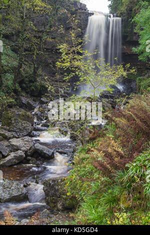 Ashgill Falls, in der Nähe von Garrigill in Cumbria Stockfoto