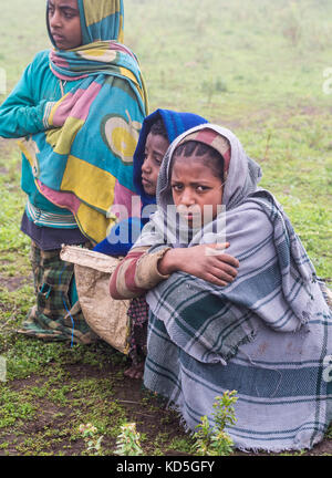 Semien Berge, Äthiopien - Juli 01, 2016: Kinder in semien Berge, Äthiopien, an einem nebligen Tag. Stockfoto