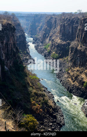 Rafting auf dem Zambezi River, Simbabwe, Südafrika Stockfoto