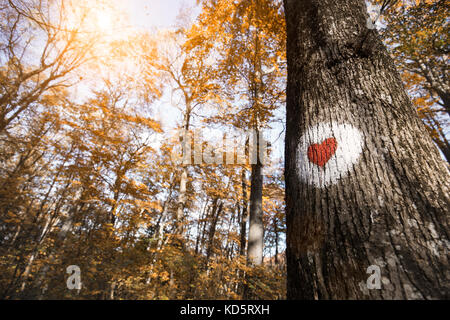 Bild von roten Herzen auf Baum gemalt Stockfoto