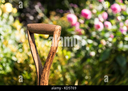 Garten Gabel Griff mit Blumen im Hintergrund, Holz- Werkzeug Hand. Stockfoto