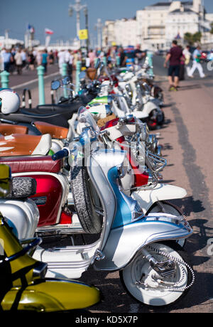 Brighton Mod Rally, August Bank Holiday Motorroller aufgereiht auf Anzeigen Stockfoto