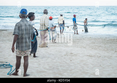 Uppuveli, Sri Lanka - 26. März 2017: Die lokalen Fischer in einer Reihe, Ziehen am Seil der fishernet am Strand Stockfoto