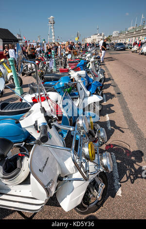 Brighton Mod Rally, August Bank Holiday Motorroller aufgereiht auf Anzeigen Stockfoto