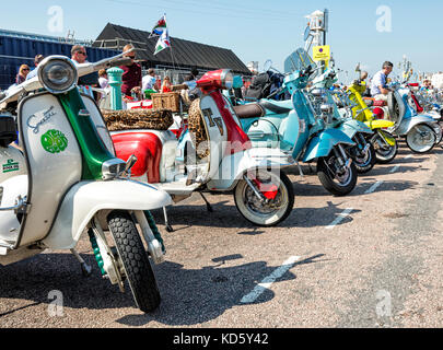 Brighton Mod Rally, August Bank Holiday Motorroller aufgereiht auf Anzeigen Stockfoto