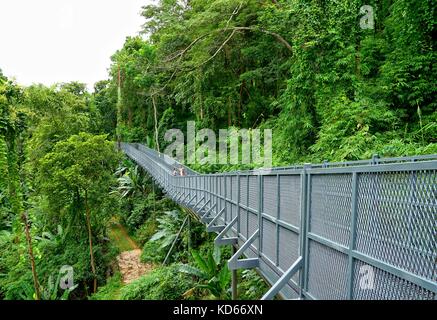 Chiang Mai, Thailand, 24. August 2017: Baum Canopy Walkway, die Eiserne Brücke in den tropischen Regenwald an der Queen Sirikit Botanic Garden, Chiang Mai, Thaila Stockfoto