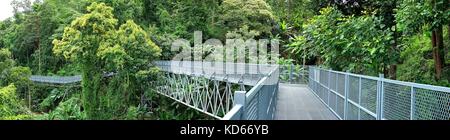 Panorama der Baum Canopy Walkway, die Eiserne Brücke in den tropischen Regenwald an der Queen Sirikit Botanic Garden, Chiang Mai, Thailand Stockfoto