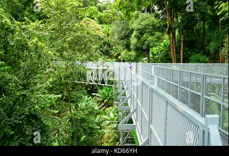 Baum Canopy Walkway, die Eiserne Brücke in den tropischen Regenwald an der Queen Sirikit Botanic Garden, Chiang Mai, Thailand Stockfoto