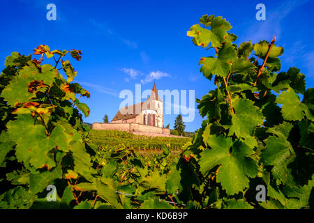 Die ökumenische Kirche saint-Jacques-le-Majeur ist in die Weinberge rund um das historische Dorf am Fuße des Elsass Hügeln Stockfoto