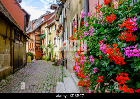 Eine kleine Straße führt durch die Blume dekoriert Fachwerkhäuser der historischen Dorf Stockfoto