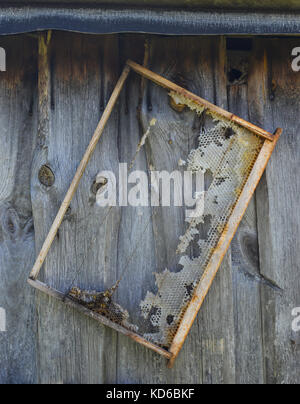 Alte Waben Rahmen hängt auf dem hölzernen Scheune Wand Stockfoto