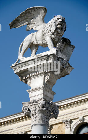 Eine von zwei Löwen von Venedig, auf Säulen, in der Piazza dei Signori, Padua, Italien. Stockfoto