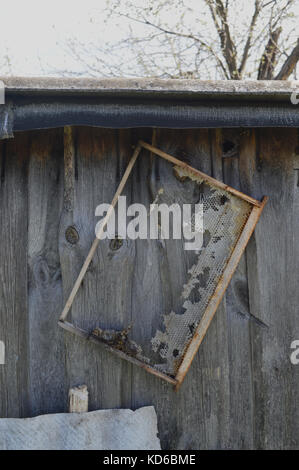 Alte Waben Rahmen hängt auf dem hölzernen Scheune Wand Stockfoto