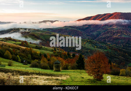 Ländlichen Raum auf nebligen Herbstmorgen. wunderschöne Landschaft mit Heuballen auf grünen Wiesen und bunten Bäume Stockfoto